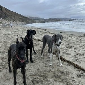 Meet your Posher, Judy